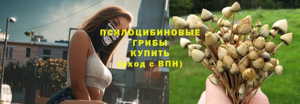 ГАЛЛЮЦИНОГЕННЫЕ ГРИБЫ Волоколамск