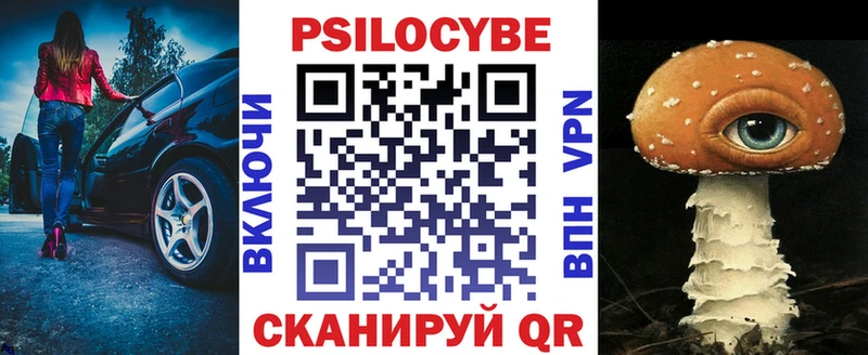 Купить  Куйбышев  Галлюциногенные грибы Psilocybine cubensis 